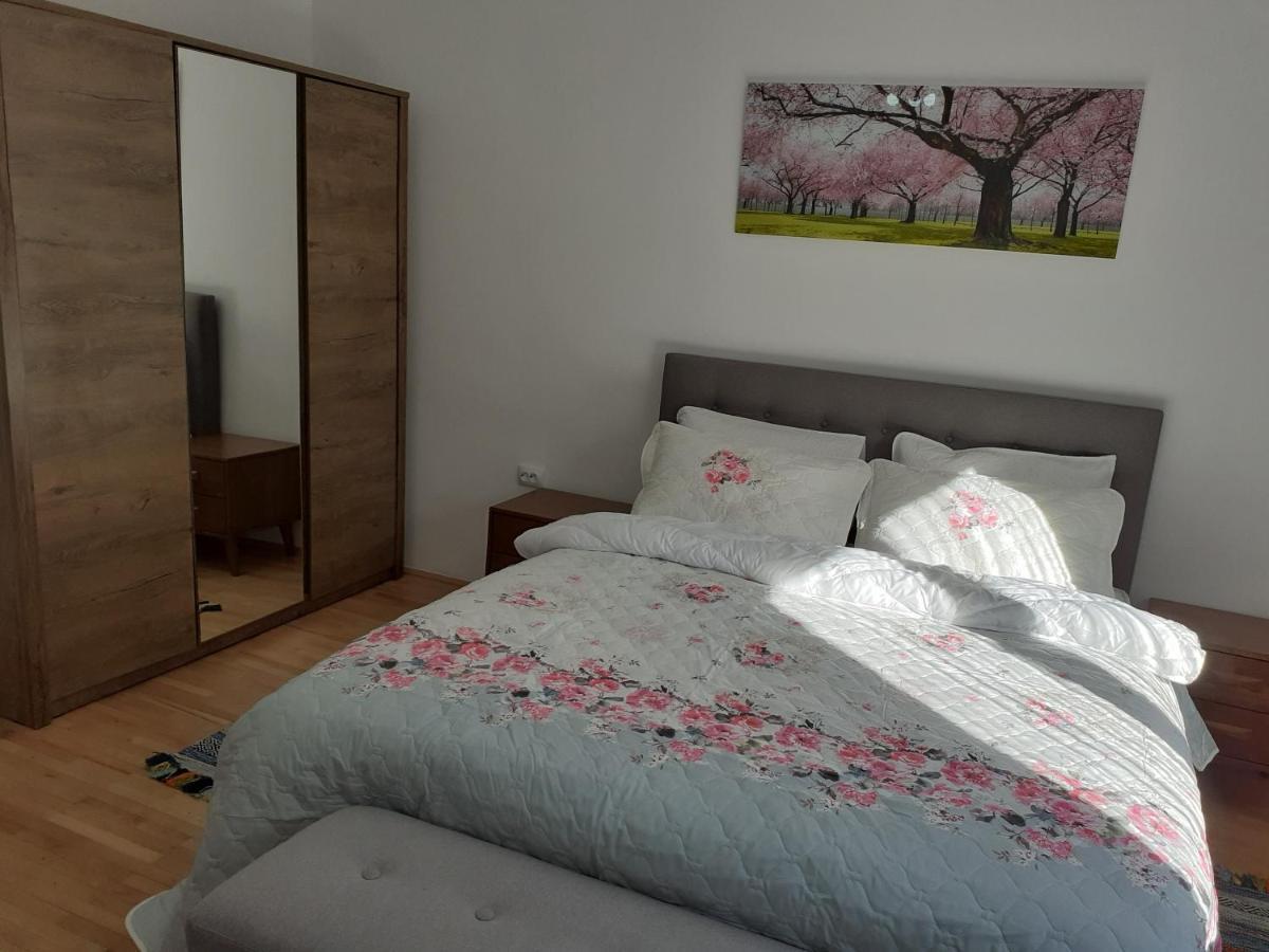 R-House Apartment Brasov Exterior photo